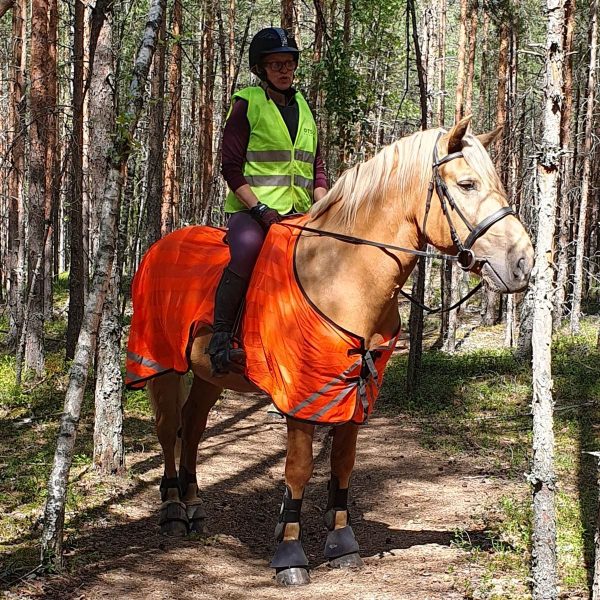 Equitare Hiviz Huomioloimi verkkokangas